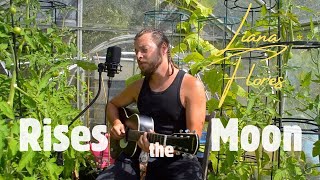 Trying a rubber bridge guitar out in the greenhouse [upl. by Ylime]