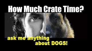 How Much Crate Time is Too Much for Puppies  Dog Training Videos  ask me anything [upl. by Okin858]