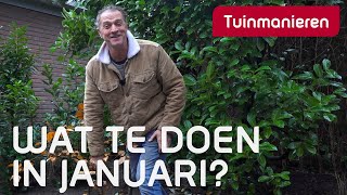 Wat te doen in Januari in de tuin  Tuinieren  Tuinmanieren [upl. by Nosnah]