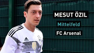 WMPorträt Mesut Özil [upl. by Elbart]