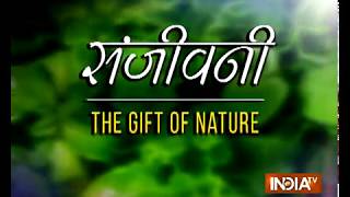 संजीवनी आयुर्वेदिक घरेलू नुस्खे— दर्द से पायें चुटकियों में आराम  Home Remedies Healthcare Tips [upl. by Nylarat400]