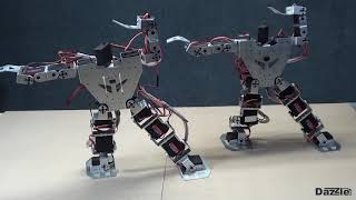 Programmable Humanoid Robot Arduino Compatible  Robot Gymnastics [upl. by Giark]