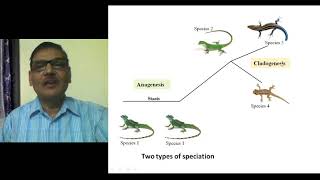 Modes of Speciation Formation of New Species [upl. by Posehn]