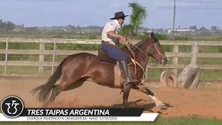 Três Taipas Argentina 261 [upl. by Noiraa78]