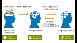 Einführung in das Gedächtnis [upl. by Sine]