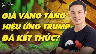 VÌ SAO VÀNG TĂNG GIÁ TRỞ LẠI LIỆU HẾT SỢ HIỆU ỨNG DONALD TRUMP LÀM TỔNG THỐNG MỸ [upl. by Tonry]