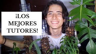 TODO sobre los TUTORES para PLANTAS TREPADORAS  GREENFISHROOM [upl. by Ecnadnac]