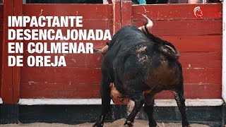 ¡IMPACTANTE desencajonada de los toros en Colmenar de Oreja [upl. by Sarajane]