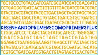 Desenhando primers com o Primer3Pus [upl. by Akinas]