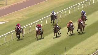 Toowoomba 20241105 Race 2 [upl. by Elah]