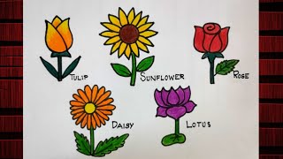 5 flowers drawingflowers drawing with colourhow to draw flowers [upl. by Boarer]