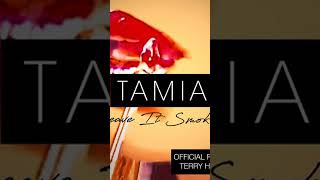 Tamia  Leave It Smokin  Silky Soulsh [upl. by Crofton]