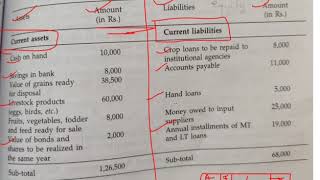 cost of credit Income Statement and Balance Sheet  Explained in Hindi [upl. by Anez344]