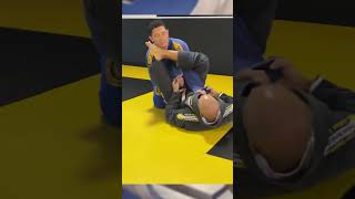 Armlock partindo da guarda laço jiujitsu bjjlifestyle mma bjjshorts [upl. by Weixel]