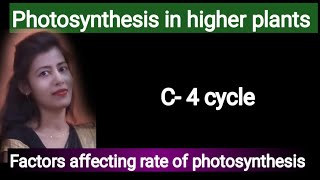 class 11 photosynthesis in higher plants educationk6111 [upl. by Zink]