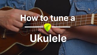 Ukulele Tutorial How To Tune a Ukulele [upl. by Lindell627]