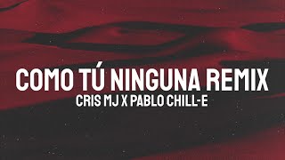 Pablo Chille  Facts Letra [upl. by Ehpotsirhc]