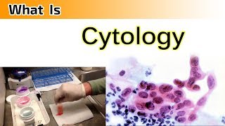 What is Cytology   Clear amp Complete Overview [upl. by Ciprian787]