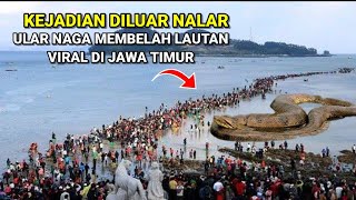 Viral  Ular Naga Raksasa Membelah Lautan Viral Di Jawa Timur [upl. by Nortyad]