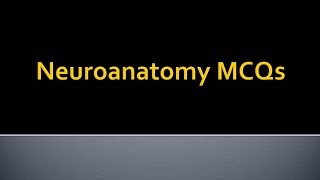 Psychiatry Lecture Neuroanatomy MCQs [upl. by Odine226]