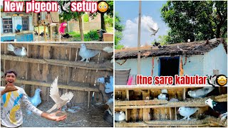 New pigeon 🕊️setup😳  Finally itne sare kabutar🕊️kharidne gye🤩  pigeon [upl. by Jemmy]