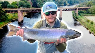 EPIC Salmon Fishing at Cargill  River Tay [upl. by Anelem]