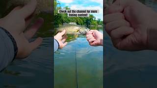 Shenandoah Summer Smallmouth [upl. by Caines117]