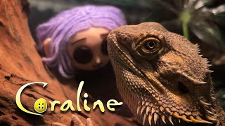 Make a Coraline Doll with Me 🧵🪡 [upl. by Wilscam]