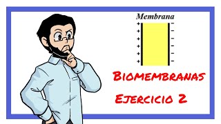 Biomembranas Ejercicio 2 [upl. by Nowad]