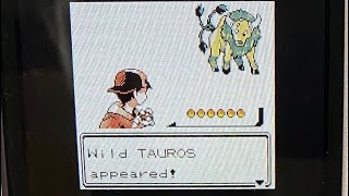 Gen 2 Live Shiny 5 Tauros  7 bonus shinies [upl. by Nyberg]