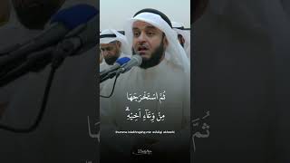 Beautiful Quran Recitation [upl. by Jaban]