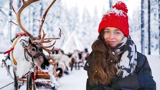 WE CROSSED THE ARCTIC CIRCLE 24 Hours in Lapland Finland [upl. by Kerril538]