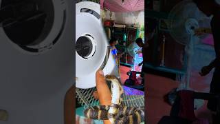 কোথায় ঢুকে গেলো স্যাপ 🐍prank for mom❤️ minivlog shorts [upl. by Squire]