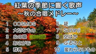 【メドレー】紅葉の季節に響く歌声 ～秋の合唱メドレー～  歌詞付き  歌唱練習  卒業ソング 合唱 クラス合唱 卒業ソング 合唱コンクール [upl. by Trebo]