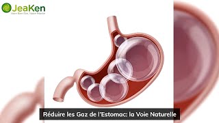 Réduire les Gaz de l’Estomac la Voie Naturelle [upl. by Reddy]