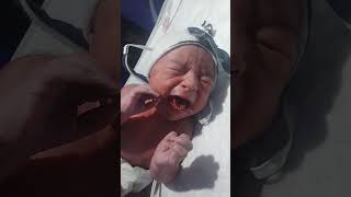 Newborn baby girl 😘viralvideo cute shorts youtube youtubeshorts [upl. by Nezam]