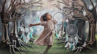 Dreamcatcher’s Dance A Magical Children’s Song for Imagination and Fun [upl. by Yesor]