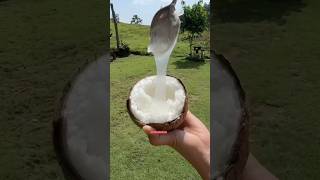 Macapuno coconut 🥥 কেমন নারিকেল 😱 [upl. by Randolph]