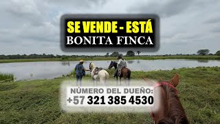 🔥SE VENDE🍃ESTÁ BONITA FINCA🍃Número del dueño 57 321 385 4530🔥 [upl. by Yrak]