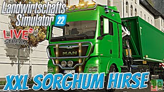 LS22 LIVE🔴 Der STÄRKSTE MAN TGX SATTELZUG 🌽 XXL SORGHUM HIRSE │Landwirtschafts Simulator 22  FS22 [upl. by Geminius527]