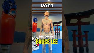 Bruce Lee shorts [upl. by Ihcur]