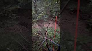 Recurve bow hunting whitetail deer in the rain bowandarrow bowhunting whitetaildeer traditional [upl. by Alat]