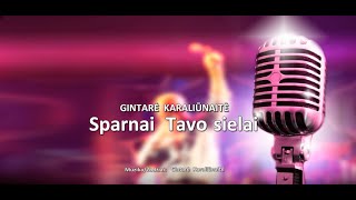 Gintarė Karaliūnaitė  Sparnai tavo sielai KARAOKE [upl. by Ulises]