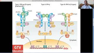 Interferon Discovery amp Mechanism of action against viruses [upl. by Torr429]