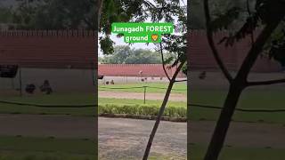 JUNAGADH FOREST GROUND 2024 gujratforest gandhinagargujarat forester khakhi [upl. by Aehsan211]