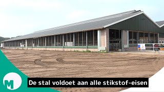 Toekomstbestendige koeienstal in Keldonk I Omroep Meierij [upl. by Acirem]