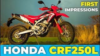 2020 Honda CRF250L  First impressions review [upl. by La Verne]