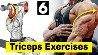 Arms workout  triceps dips  triceps pushdown  triceps pressdown [upl. by Menzies]