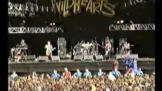 The Wildhearts Live at Donington  Reading 1994 [upl. by Underwood]