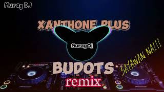 XANTHONE PLUS HERBAL CAPSULE BUDOTS REMIXMurag DJ [upl. by Atinob]